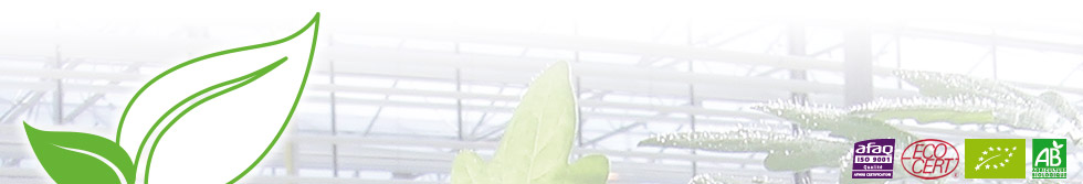 Logo de Biosem, plants maraîchers biologiques